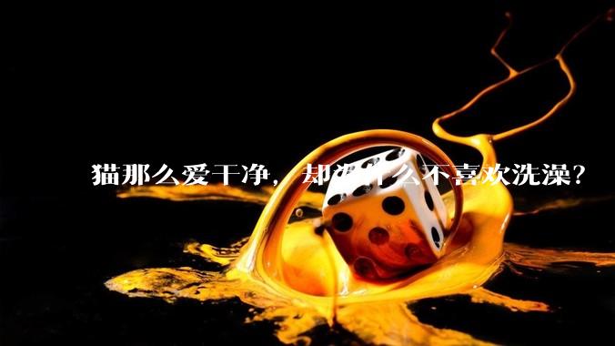 猫那么爱干净，却为什么不喜欢洗澡？